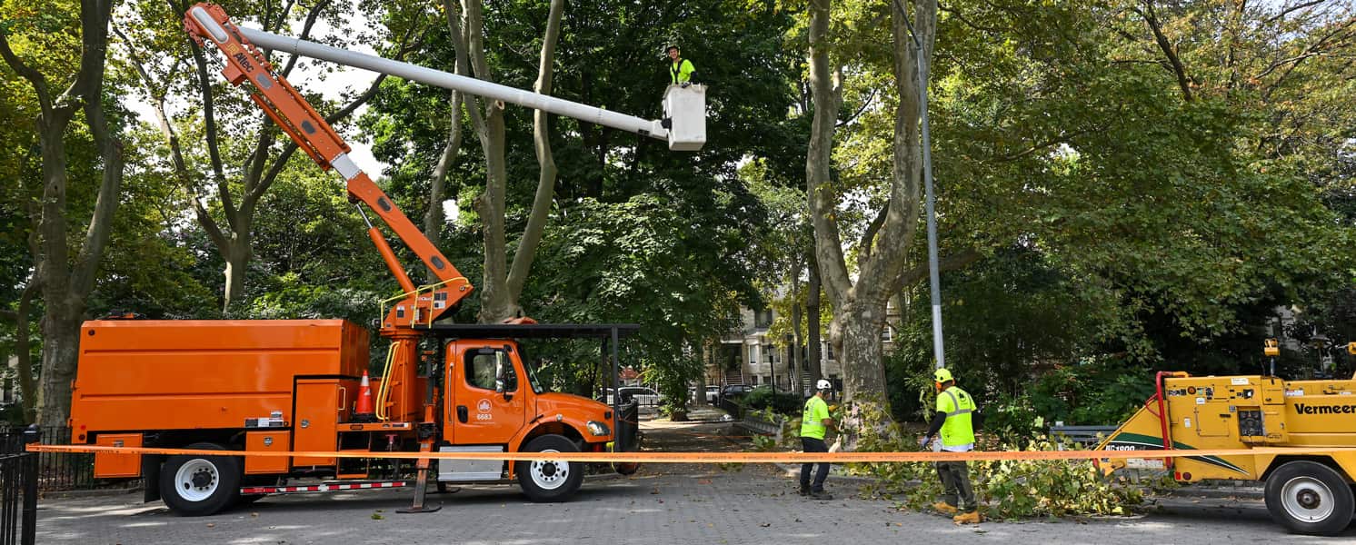 Columbia Tree Care at work