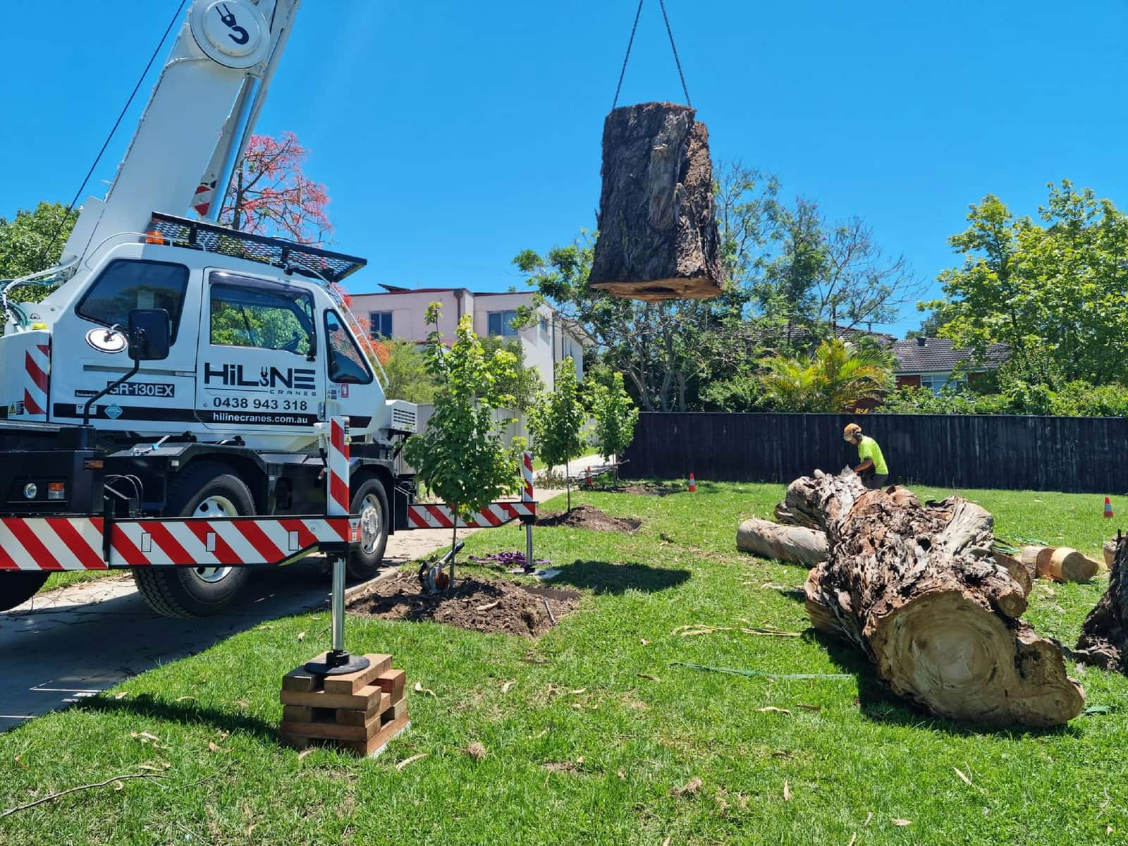 Tree care project completed
