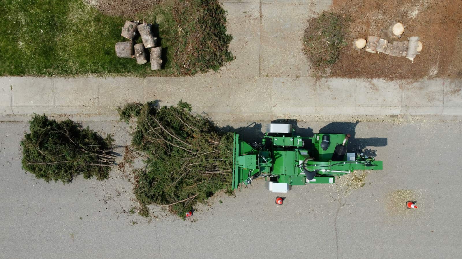 Tree care overview
